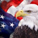 Bald eagle with an American flag background.