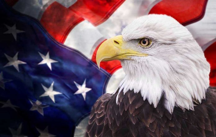Bald eagle with an American flag background.