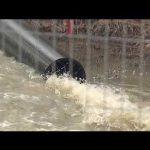 'Ecological disaster': Officials testify on Potomac sewage spill