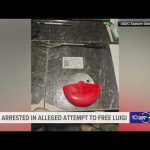 Man arrested in alleged attempt to free Luigi Mangione