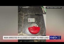 Man arrested in alleged attempt to free Luigi Mangione