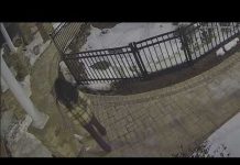 Montgomery County police release video of suspect in