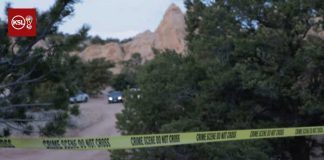 3 women found dead in Wayne County, suspect arrested in