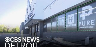 Arson FAIL: Suspects Set Themselves Ablaze! Investigators search for suspects who crashed SUV into Michigan dispensary
