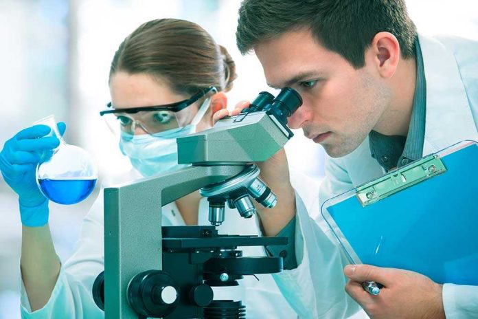 shutterstock_118151773 Two scientists conducting an experiment in a laboratory, one looking through a microscope and the other holding a flask with blue liquid