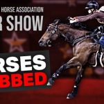 Stabbed at Vegas Venue: Case Clouded by Secrecy Horses Attacked at NBHA Vegas Super Show