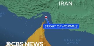 Oil Armageddon: Hormuz Goes Dark How the Strait of Hormuz blockade has forever changed the world's energy trade