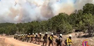 Three firefighters die battling huge wildfires on Colorado-Utah border