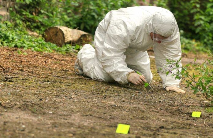 shutterstock_31561285-1 Forensic investigator in a protective suit collecting evidence from the ground
