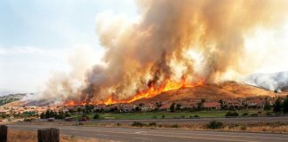 🚨 Reno Hawk Fire Forces 90,000 To Flee — Was It Arson? Nevada Declares Emergency