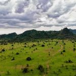 84 Acres Returned to Native Tribe in Landmark California Land Transfer Green savanna with scattered trees and hills under stormy clouds