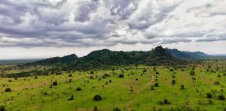 84 Acres Returned to Native Tribe in Landmark California Land Transfer Green savanna with scattered trees and hills under stormy clouds