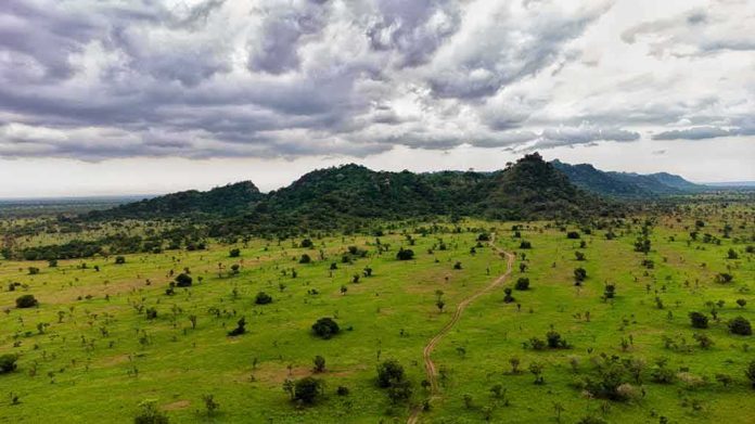 shutterstock_1961681686 Green savanna with scattered trees and hills under stormy clouds