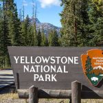 Caught on Camera—Terrifying Moment at Yellowstone National Park Yellowstone National Park entrance sign beside a forested road