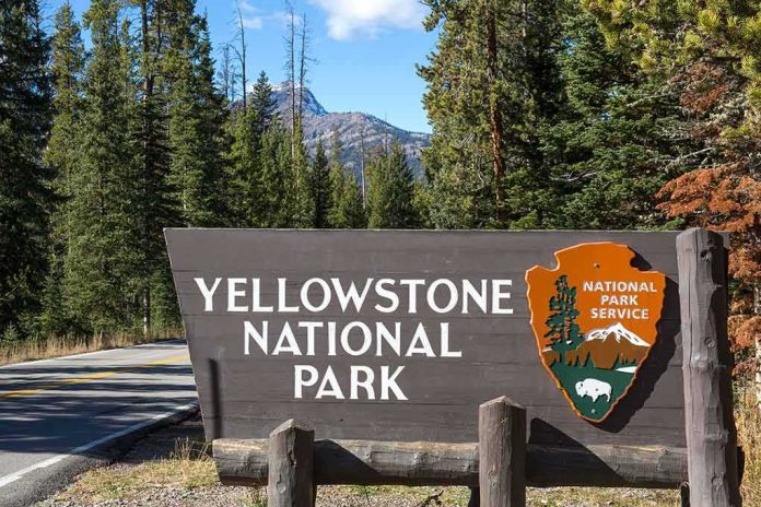 Yellowstone National Park entrance sign beside a forested road