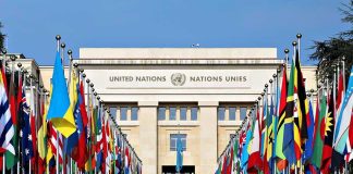 Argentina’s President Criticizes the UN United Nations building with numerous national flags outside.