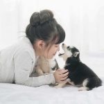 girl lying on bed touching a small puppy