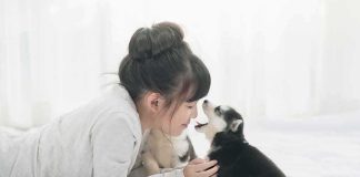 Woman and Her Dog Caught Red-Handed girl lying on bed touching a small puppy