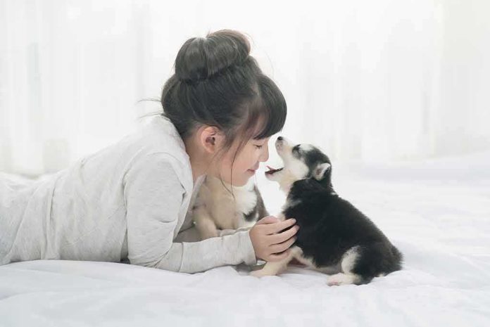 girl lying on bed touching a small puppy