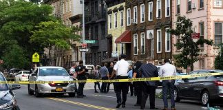Fugitive Arrested After SUV Hits NYPD Officer Police gathered at an urban crime scene.