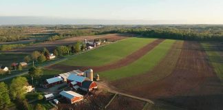 Farm Violence Claims Face Conflicting Crime Data Aerial view of a farm with red barns and expansive green and brown fields